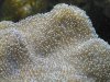 100_0744_small.jpg