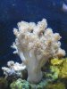 100_0747_small.jpg