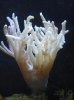 100_0748_small.jpg