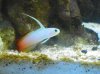 100_0742_small.jpg