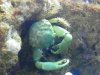 100_0749_small.jpg