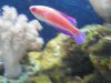 100_0743_small.jpg