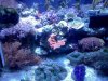 uploadfromtaptalk1306244129916.jpg