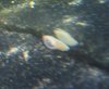 slug.jpg