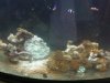 New tank.jpg