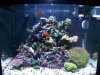 100_1560.jpg