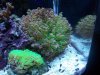 100_1565.jpg