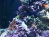 100_1567.jpg