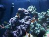 100_1569.jpg