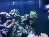 100_1570.jpg