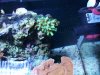 100_1552.jpg