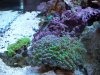 100_1571.jpg