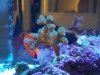 100_1578.jpg