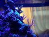 100_1586.jpg