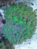 100_1619.jpg