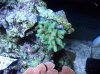 100_1620.jpg