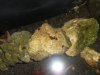 DSCN0350.jpg