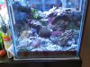 IMG01178-20110417-1606.jpg