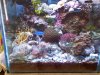 IMG01180-20110417-1607.jpg