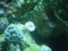 DSCF1623.jpg
