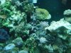 DSCF1613.jpg