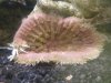 DSCF1604.jpg