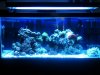 ImageUploadedByTapatalk1307132556.517975.jpg