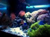 user21957_pic8534_1306186655.jpg