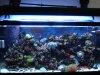 Full tank shot 90 (18).jpg