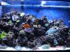 Full tank shot 90.JPG