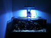 fts.JPG