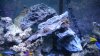 DSCN0760.jpg