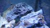 DSCN0761.jpg