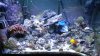 DSCN0763.jpg