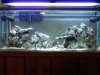 saltwater tankfinal_1_9_1.jpg