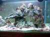 saltwater tankfinal3_4_9_1.jpg