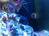 photo (19).JPG