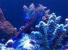 photo (22).jpg