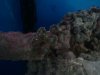 2011-06-20 07.36.22.jpg