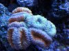 IMG_0309.jpg