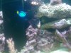 IMG_20110619_231712.jpg
