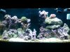 IMG_20110610_210510.jpg