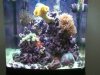 Tank Full View.jpg