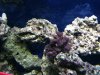 IMG_1426.JPG