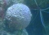 IMG00178-20110626-1026.jpg