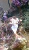 IMAG0129.jpg