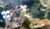 IMAG0133.jpg