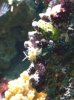 ImageUploadedByTapatalk1309227540.528840.jpg