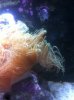 IMG_1284.jpg