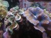 IMG_0057.jpg
